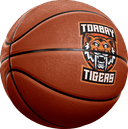 Torbay Tigers logo