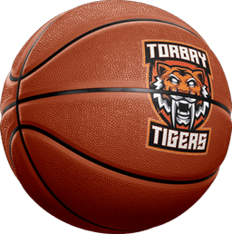 Torbay Tigers logo