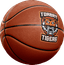 Torbay Tigers logo