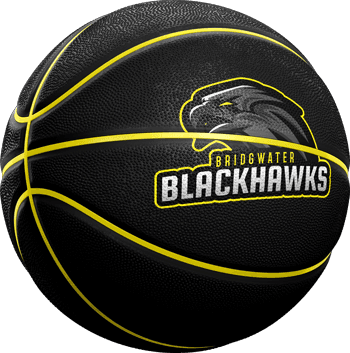 Bridgwater Blackhawks II logo