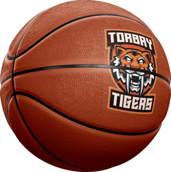 Torbay Tigers logo